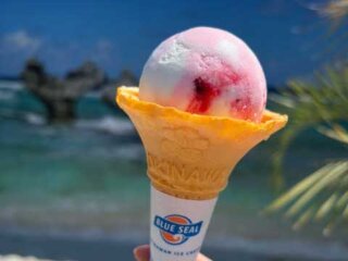 ブルーシール熊谷店